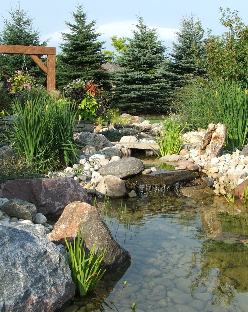 Stream flowing into backyard pond