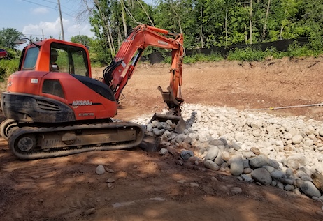 ecological restoration in Ontario