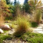 hardy-drought-resistant-grasses-and-flagstone-path